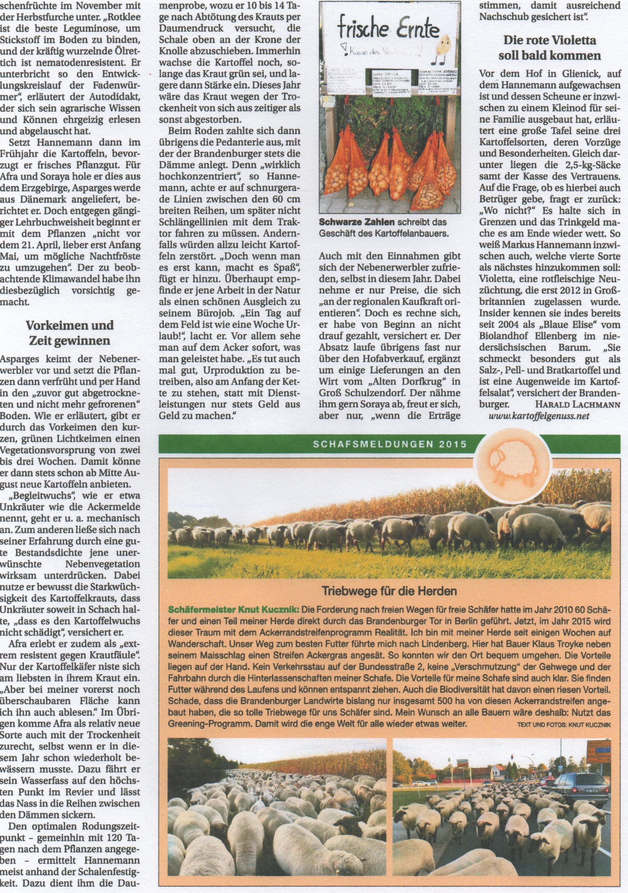 Bauernzeitung 2015, Ausgabe KW 41