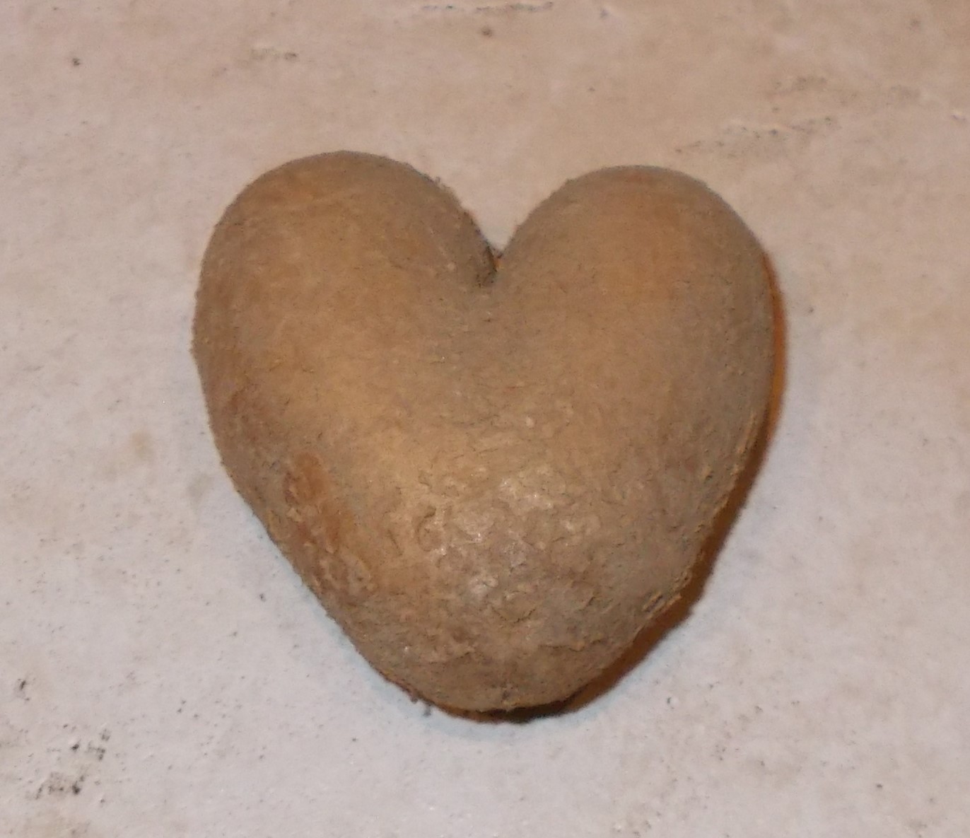 Afra - lecker mehligkochend mit Herz.