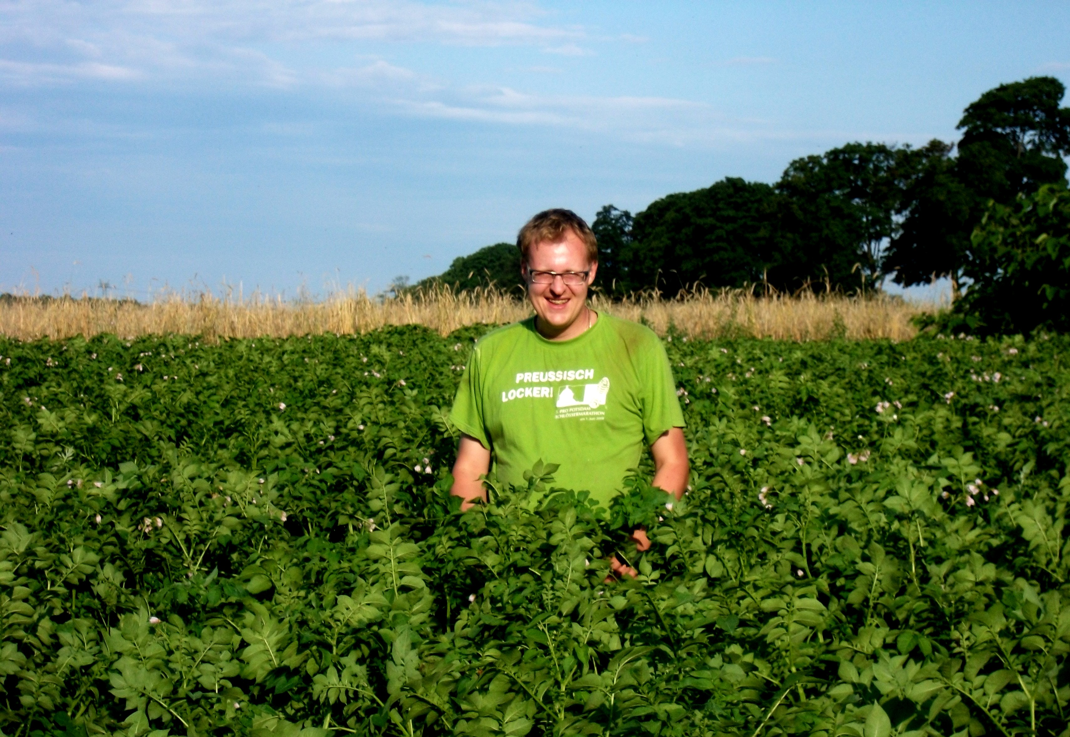 Markus Hannemann, Kartoffelbauer im Feld 2012